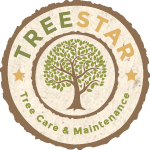 Tree Star Logo