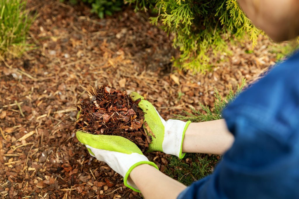 Winter Tree Maintenance​